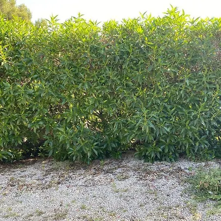 Bonita Casa Independiente Cerca De La Playa Hébergement de vacances Benissa